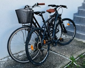 Two bicycles stored at the back of the garden